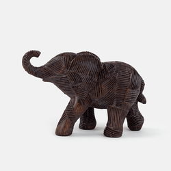 Elefante Quenia