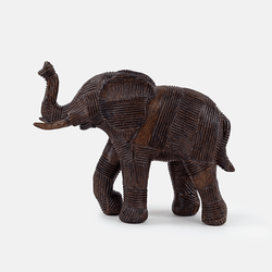 Elefante Zambia